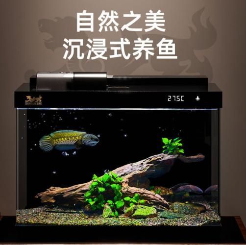 森森有哪些型號推薦？，森森森金麟魚缸型號推薦，適合養魚新手養魚新手養魚 森森有哪些型號推薦？，森森森金麟魚缸型號推薦，適合養魚新手養魚新手養魚 龍魚百科 第4張