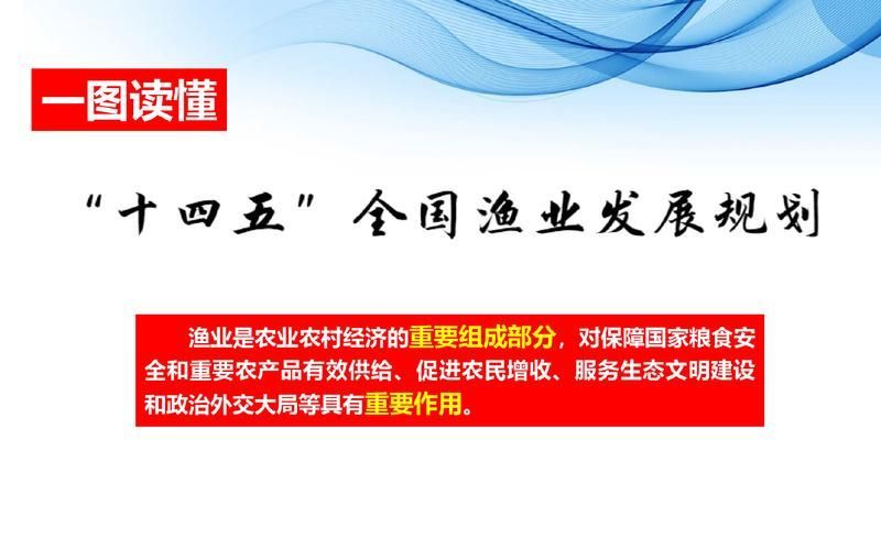 有哪些政策支持淡水魚養殖 龍魚百科 第4張 有哪些政策支持淡水魚養殖 有哪些政策支持淡水魚養殖 龍魚百科 第4張