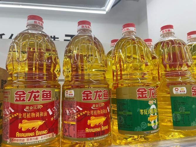 金龍魚批發(fā)價(jià)格受哪些因素影響？，金龍魚批發(fā)價(jià)格受哪些因素影響金龍魚批發(fā)價(jià)格受哪些因素影響 金龍魚批發(fā)價(jià)格受哪些因素影響？，金龍魚批發(fā)價(jià)格受哪些因素影響金龍魚批發(fā)價(jià)格受哪些因素影響 龍魚百科 第3張