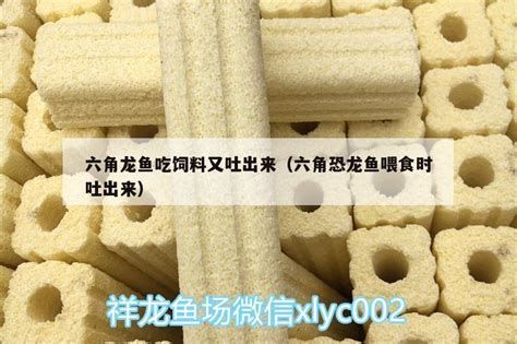 20公分龍魚一天應該喂多少?,在探討20公分龍魚一天應該喂多少的問題時需要考慮多個因素 龍魚百科 第2張 20公分龍魚一天應該喂多少?,在探討20公分龍魚一天應該喂多少的問題時需要考慮多個因素 20公分龍魚一天應該喂多少?,在探討20公分龍魚一天應該喂多少的問題時需要考慮多個因素 龍魚百科 第2張