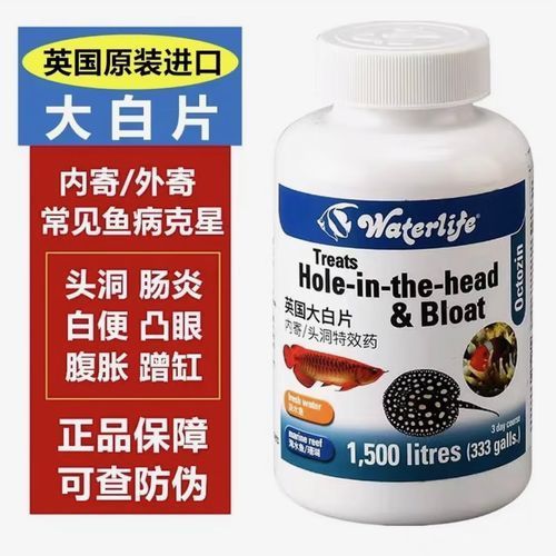 WATERLIFE大白片的價格是多少，waterlife大白片價格因地區和銷售渠道的不同而有所差異 WATERLIFE大白片的價格是多少，waterlife大白片價格因地區和銷售渠道的不同而有所差異 龍魚百科