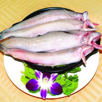 無(wú)骨龍魚(yú)有哪些營(yíng)養(yǎng)價(jià)值?,無(wú)骨龍魚(yú)是一種營(yíng)養(yǎng)豐富的營(yíng)養(yǎng)價(jià)值,無(wú)骨龍魚(yú)的營(yíng)養(yǎng)價(jià)值 龍魚(yú)百科 第3張 無(wú)骨龍魚(yú)有哪些營(yíng)養(yǎng)價(jià)值?,無(wú)骨龍魚(yú)是一種營(yíng)養(yǎng)豐富的營(yíng)養(yǎng)價(jià)值,無(wú)骨龍魚(yú)的營(yíng)養(yǎng)價(jià)值 無(wú)骨龍魚(yú)有哪些營(yíng)養(yǎng)價(jià)值?,無(wú)骨龍魚(yú)是一種營(yíng)養(yǎng)豐富的營(yíng)養(yǎng)價(jià)值,無(wú)骨龍魚(yú)的營(yíng)養(yǎng)價(jià)值 龍魚(yú)百科 第3張