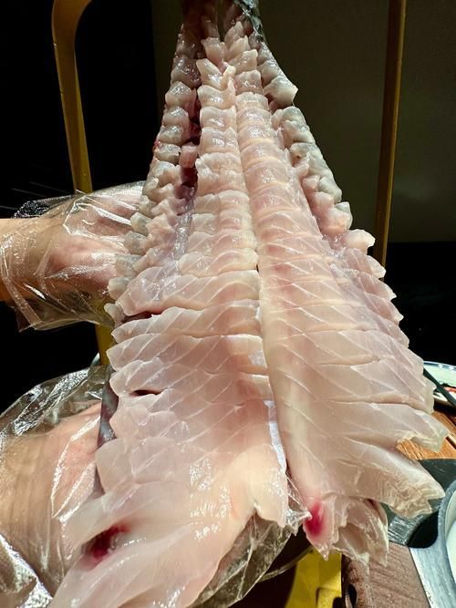 無(wú)骨龍魚(yú)有哪些營(yíng)養(yǎng)價(jià)值?,無(wú)骨龍魚(yú)是一種營(yíng)養(yǎng)豐富的營(yíng)養(yǎng)價(jià)值,無(wú)骨龍魚(yú)的營(yíng)養(yǎng)價(jià)值 龍魚(yú)百科 第2張 無(wú)骨龍魚(yú)有哪些營(yíng)養(yǎng)價(jià)值?,無(wú)骨龍魚(yú)是一種營(yíng)養(yǎng)豐富的營(yíng)養(yǎng)價(jià)值,無(wú)骨龍魚(yú)的營(yíng)養(yǎng)價(jià)值 無(wú)骨龍魚(yú)有哪些營(yíng)養(yǎng)價(jià)值?,無(wú)骨龍魚(yú)是一種營(yíng)養(yǎng)豐富的營(yíng)養(yǎng)價(jià)值,無(wú)骨龍魚(yú)的營(yíng)養(yǎng)價(jià)值 龍魚(yú)百科 第2張