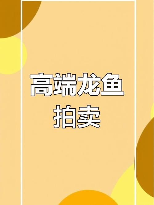 潁州龍魚的市場(chǎng)價(jià)格是多少？ 潁州龍魚的市場(chǎng)價(jià)格是多少？ 龍魚百科 第5張