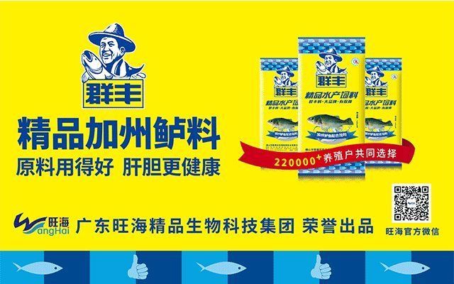 如何判斷魚腸炎的類型，如何判斷魚類腸炎 如何判斷魚腸炎的類型，如何判斷魚類腸炎 龍魚百科 第8張
