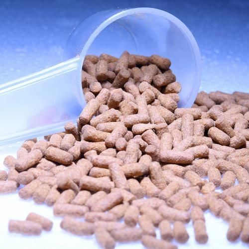 哪些魚食適合嘴歪龍魚？ 哪些魚食適合嘴歪龍魚？ 龍魚百科 第9張
