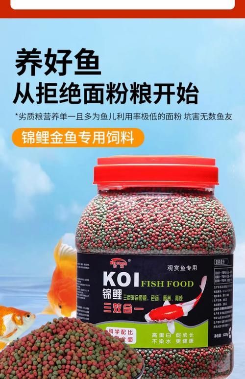如何判斷觀賞魚飼料的質量,如何判斷觀賞魚飼料的質量, 龍魚百科 第1張 如何判斷觀賞魚飼料的質量,如何判斷觀賞魚飼料的質量, 如何判斷觀賞魚飼料的質量,如何判斷觀賞魚飼料的質量, 龍魚百科 第1張