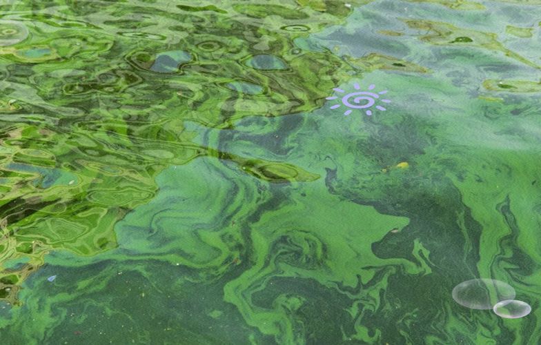 如何判斷水質(zhì)是否不佳，地表水環(huán)境質(zhì)量標(biāo)準(zhǔn)判斷水質(zhì)不佳調(diào)用工具arxiv論文