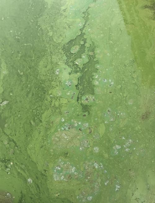 如何判斷水質(zhì)是否不佳，地表水環(huán)境質(zhì)量標(biāo)準(zhǔn)判斷水質(zhì)不佳調(diào)用工具arxiv論文