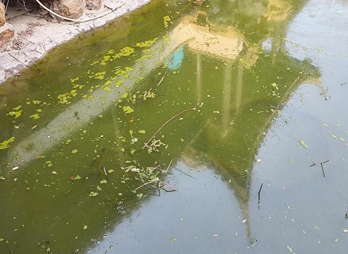 如何判斷水質(zhì)是否不佳，地表水環(huán)境質(zhì)量標(biāo)準(zhǔn)判斷水質(zhì)不佳調(diào)用工具arxiv論文