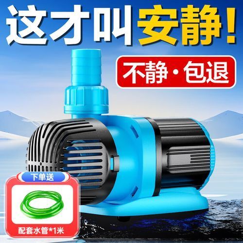 創寧水族有哪些熱門產品？，創寧水族有哪些熱門產品？創寧水族有哪些優勢？ 創寧水族有哪些熱門產品？，創寧水族有哪些熱門產品？創寧水族有哪些優勢？ 龍魚百科 第13張