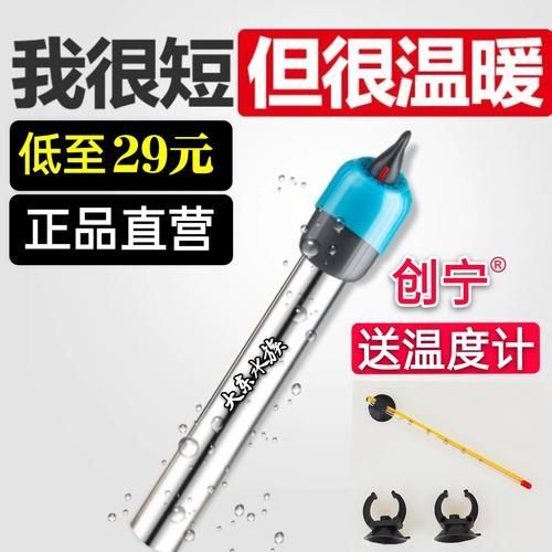 創寧水族有哪些熱門產品？，創寧水族有哪些熱門產品？創寧水族有哪些優勢？ 創寧水族有哪些熱門產品？，創寧水族有哪些熱門產品？創寧水族有哪些優勢？ 龍魚百科 第7張