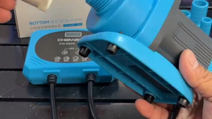 創寧水族有哪些熱門產品？，創寧水族有哪些熱門產品？創寧水族有哪些優勢？ 創寧水族有哪些熱門產品？，創寧水族有哪些熱門產品？創寧水族有哪些優勢？ 龍魚百科 第15張