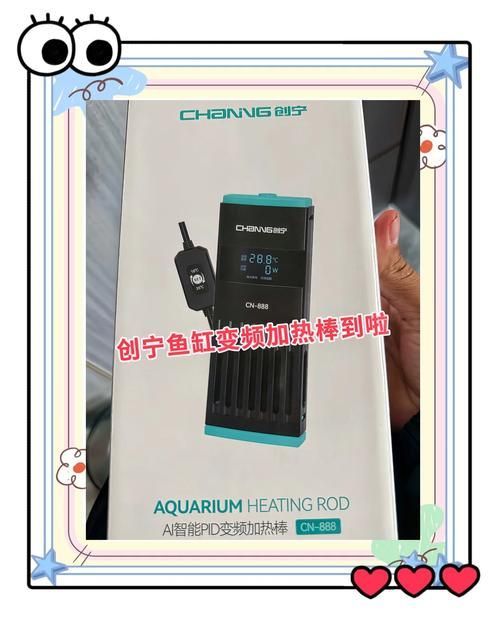 創寧水族有哪些熱門產品？，創寧水族有哪些熱門產品？創寧水族有哪些優勢？ 創寧水族有哪些熱門產品？，創寧水族有哪些熱門產品？創寧水族有哪些優勢？ 龍魚百科 第9張