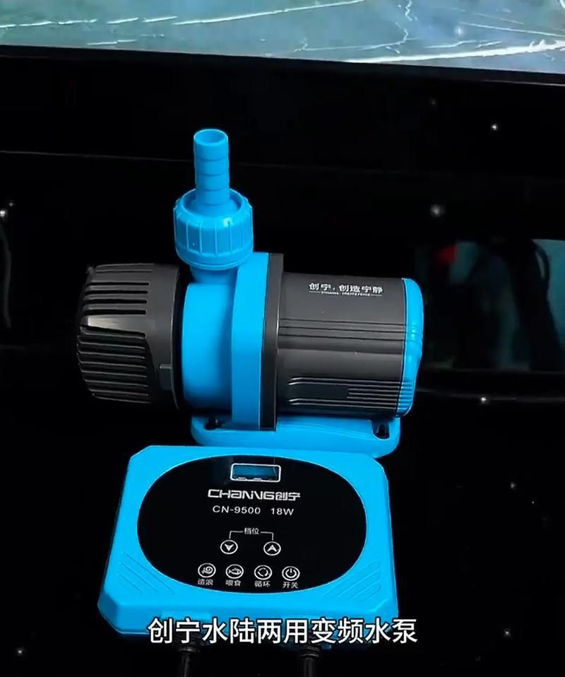 創寧水族有哪些熱門產品？，創寧水族有哪些熱門產品？創寧水族有哪些優勢？ 創寧水族有哪些熱門產品？，創寧水族有哪些熱門產品？創寧水族有哪些優勢？ 龍魚百科 第6張