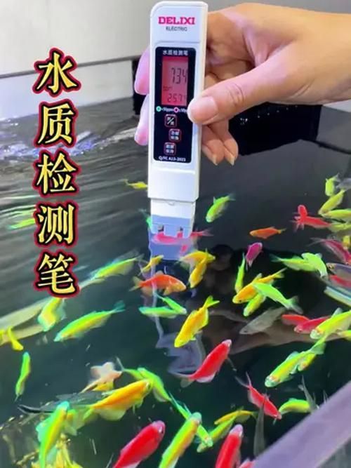 如何預防龍魚黏膜問題？，arxiv論文助手arxiv論文助手（arxiv論文助手） 如何預防龍魚黏膜問題？，arxiv論文助手arxiv論文助手（arxiv論文助手） 龍魚百科 第4張