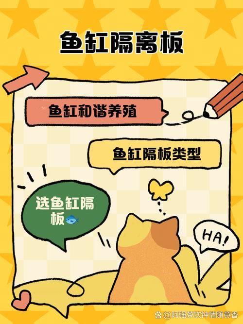 如何預防魚打架受傷 如何預防魚打架受傷 龍魚百科 第6張