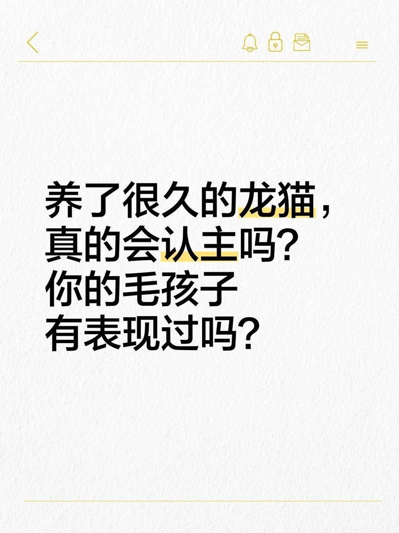 如何判斷貓是否對(duì)龍貓有興趣，判斷貓是否對(duì)龍貓有興趣，可以通過(guò)觀察貓的行為和反應(yīng)來(lái)判斷 如何判斷貓是否對(duì)龍貓有興趣，判斷貓是否對(duì)龍貓有興趣，可以通過(guò)觀察貓的行為和反應(yīng)來(lái)判斷 龍魚百科 第2張