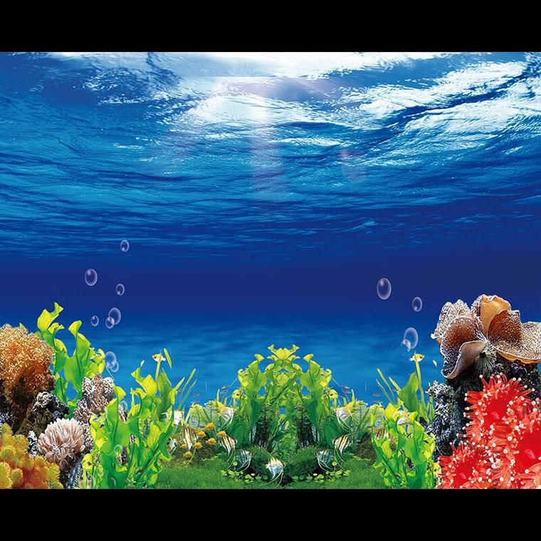 有哪些魚缸背景圖推薦?,有哪些適合小魚缸的背景圖 龍魚百科 第7張 有哪些魚缸背景圖推薦?,有哪些適合小魚缸的背景圖 有哪些魚缸背景圖推薦?,有哪些適合小魚缸的背景圖 龍魚百科 第7張