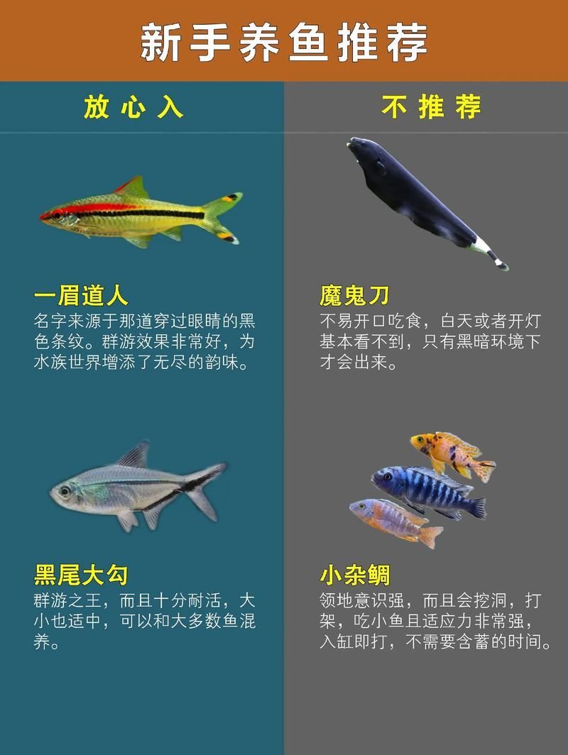 如何搜索祥龍魚合成公式的圖片?,《開心水族館》如何搜索祥龍魚合成公式的圖片? 龍魚百科 第12張 如何搜索祥龍魚合成公式的圖片?,《開心水族館》如何搜索祥龍魚合成公式的圖片? 如何搜索祥龍魚合成公式的圖片?,《開心水族館》如何搜索祥龍魚合成公式的圖片? 龍魚百科 第12張