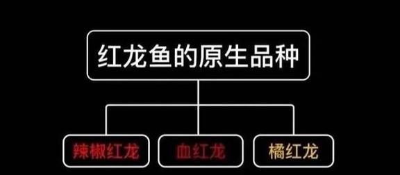 如何搜索祥龍魚合成公式的圖片？，《開心水族館》如何搜索祥龍魚合成公式的圖片？ 如何搜索祥龍魚合成公式的圖片？，《開心水族館》如何搜索祥龍魚合成公式的圖片？ 龍魚百科 第27張
