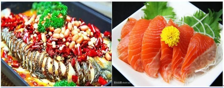 如何判斷魚是否含有寄生蟲 如何判斷魚是否含有寄生蟲 龍魚百科 第7張