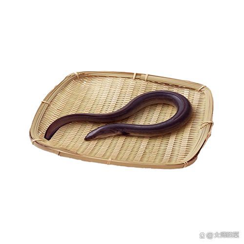 如何判斷黃鱔是否健康，如何判斷黃鱔健康 如何判斷黃鱔是否健康，如何判斷黃鱔健康 龍魚百科 第6張