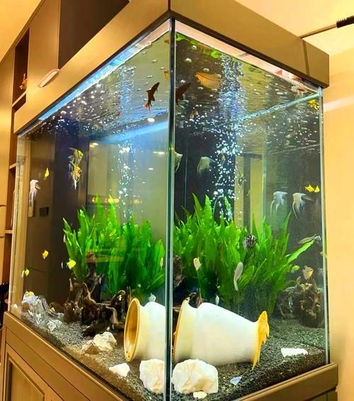能否提供魚缸擺放的圖示示例，魚缸擺放圖示示例：客廳中心位置：將魚缸放在客廳的中央位置 能否提供魚缸擺放的圖示示例，魚缸擺放圖示示例：客廳中心位置：將魚缸放在客廳的中央位置 龍魚百科 第15張