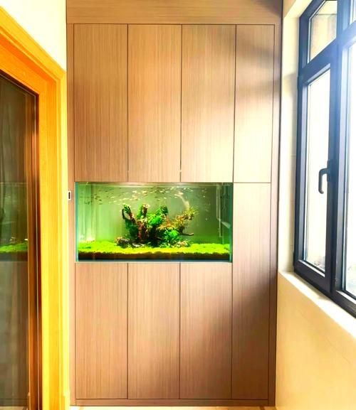能否提供魚缸擺放的圖示示例，魚缸擺放圖示示例：客廳中心位置：將魚缸放在客廳的中央位置 能否提供魚缸擺放的圖示示例，魚缸擺放圖示示例：客廳中心位置：將魚缸放在客廳的中央位置 龍魚百科 第19張