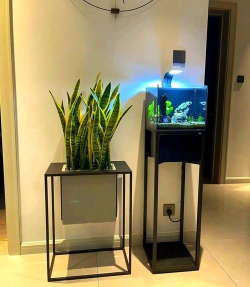 能否提供魚缸擺放的圖示示例，魚缸擺放圖示示例：客廳中心位置：將魚缸放在客廳的中央位置 能否提供魚缸擺放的圖示示例，魚缸擺放圖示示例：客廳中心位置：將魚缸放在客廳的中央位置 龍魚百科 第7張