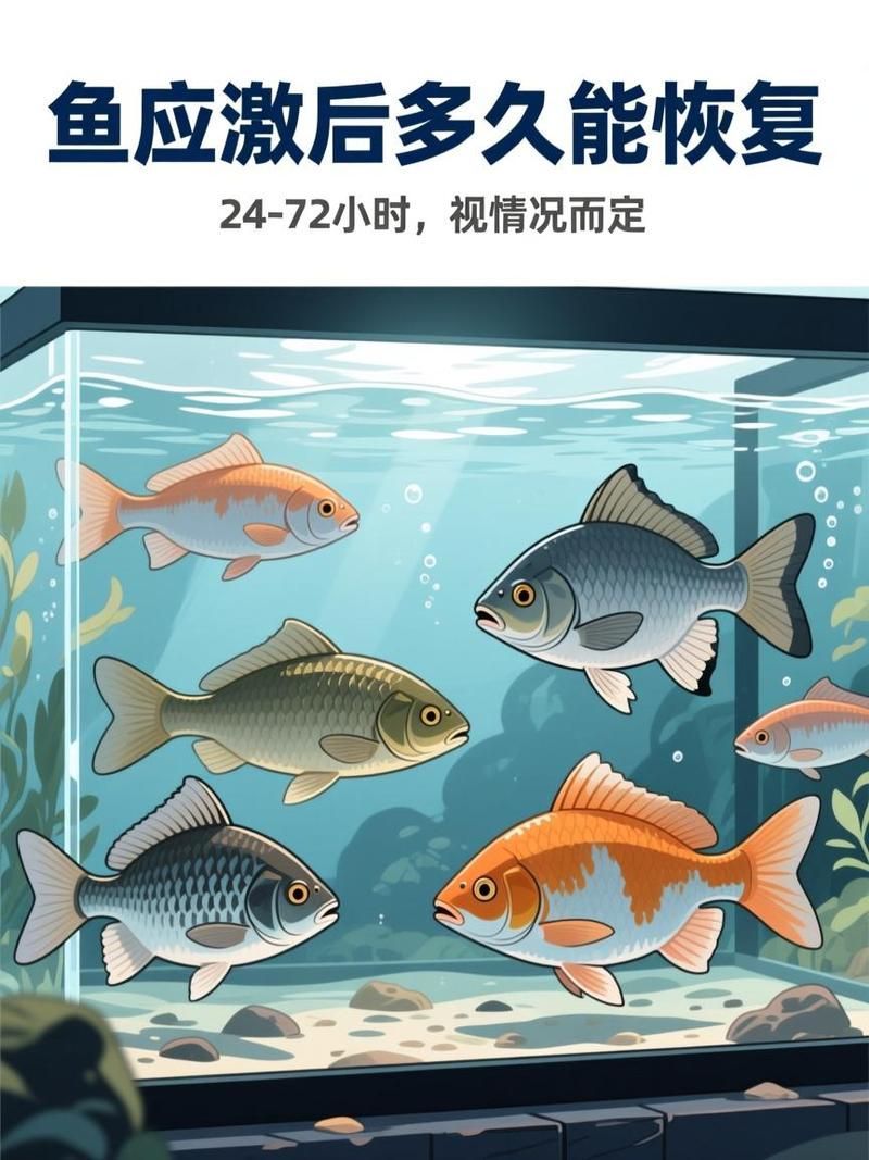 龍魚甩頭多久會好，龍魚甩頭多久會好，用戶要求詳解“龍魚甩頭多久會好” 龍魚甩頭多久會好，龍魚甩頭多久會好，用戶要求詳解“龍魚甩頭多久會好” 龍魚百科 第7張