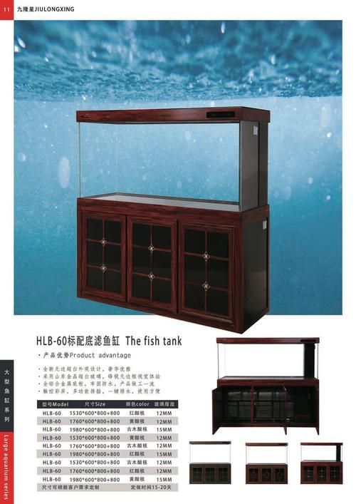 龍魚風水缸尺寸，如何選擇適合龍魚的魚缸？
