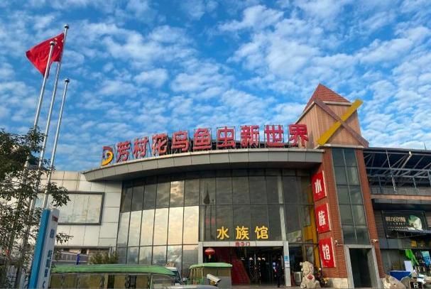 給我一份祥龍魚場的參觀指南,“祥龍魚場參觀指南”、“祥龍魚場參觀指南”的信息 龍魚百科 第4張 給我一份祥龍魚場的參觀指南,“祥龍魚場參觀指南”、“祥龍魚場參觀指南”的信息 給我一份祥龍魚場的參觀指南,“祥龍魚場參觀指南”、“祥龍魚場參觀指南”的信息 龍魚百科 第4張