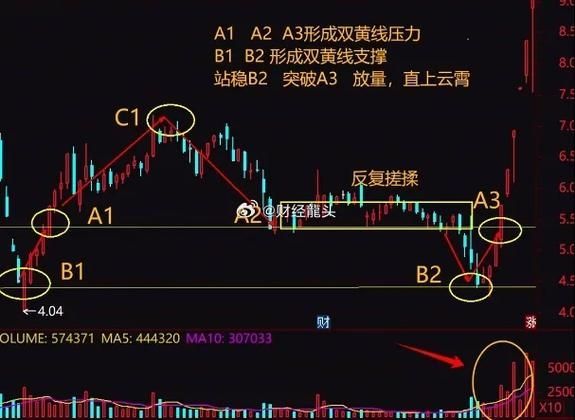 金龍魚未來價格走勢如何預測，金龍魚未來價格走勢預測