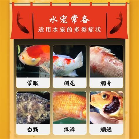 錦鯉蒙眼病能自愈嗎,錦鯉蒙眼病能自愈嗎,