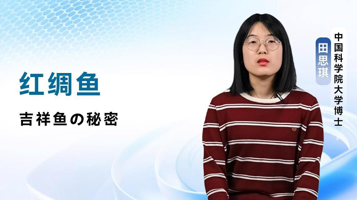 給我推薦一些吉祥魚種的飼料品牌，給我推薦一些吉祥魚種的飼料品牌,你養(yǎng)吉祥魚，選對(duì)飼料真的能讓魚色更艷、狀態(tài)更穩(wěn) 給我推薦一些吉祥魚種的飼料品牌，給我推薦一些吉祥魚種的飼料品牌,你養(yǎng)吉祥魚，選對(duì)飼料真的能讓魚色更艷、狀態(tài)更穩(wěn) 龍魚百科 第2張