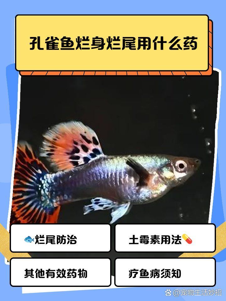 爛尾期間換水需要添加什么藥物，爛尾期間換水需要添加什么藥物及其作用及其作用