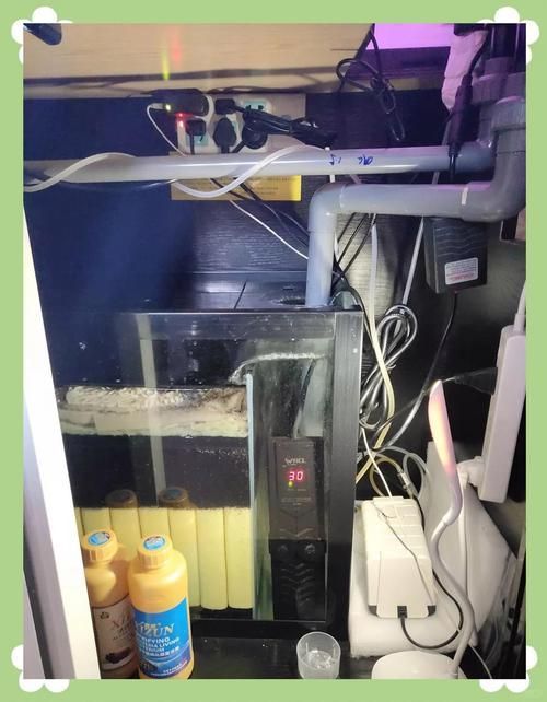 如何設置可麗愛魚缸的燈光系統?,如何設置可麗愛魚缸的燈光系統, 龍魚百科 第4張 如何設置可麗愛魚缸的燈光系統?,如何設置可麗愛魚缸的燈光系統, 如何設置可麗愛魚缸的燈光系統?,如何設置可麗愛魚缸的燈光系統, 龍魚百科 第4張