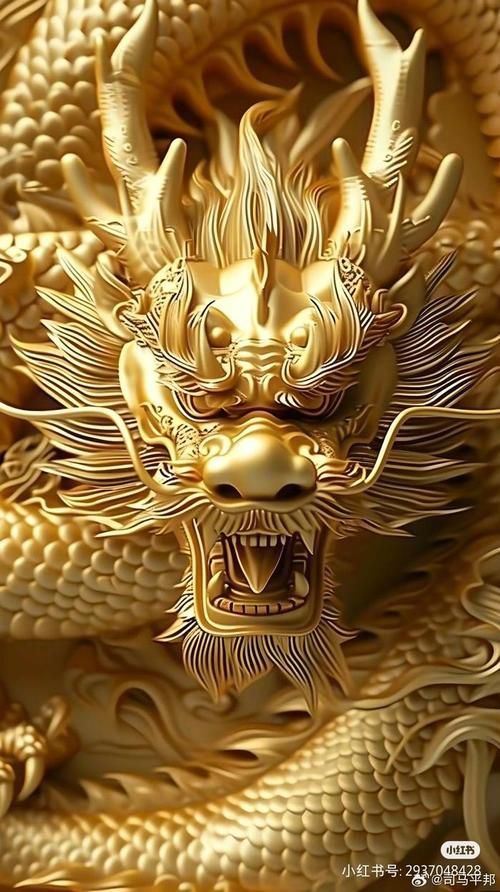 有沒有更多高清金龍圖片來源，探索高清金龍圖片的豐富資源 有沒有更多高清金龍圖片來源，探索高清金龍圖片的豐富資源 龍魚百科 第17張