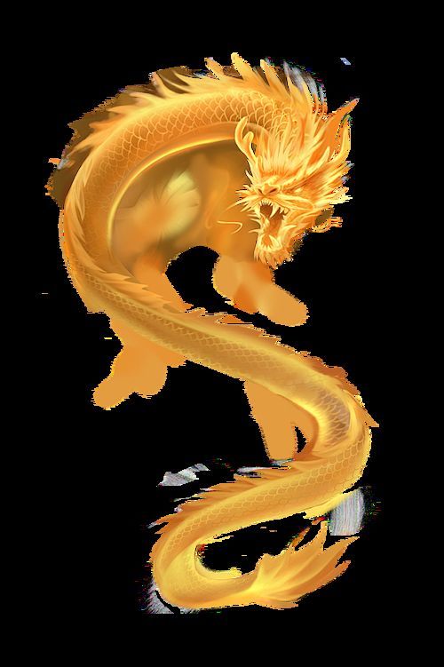 有沒有更多高清金龍圖片來源，探索高清金龍圖片的豐富資源 有沒有更多高清金龍圖片來源，探索高清金龍圖片的豐富資源 龍魚百科 第20張