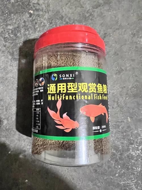 西青龍魚的養(yǎng)殖技術(shù)有哪些?,西青龍魚養(yǎng)殖技術(shù) 龍魚百科 第10張 西青龍魚的養(yǎng)殖技術(shù)有哪些?,西青龍魚養(yǎng)殖技術(shù) 西青龍魚的養(yǎng)殖技術(shù)有哪些?,西青龍魚養(yǎng)殖技術(shù) 龍魚百科 第10張