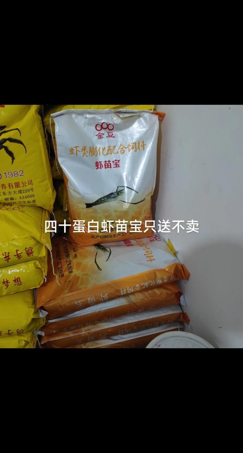 西青龍魚的養(yǎng)殖技術(shù)有哪些?,西青龍魚養(yǎng)殖技術(shù) 龍魚百科 第11張 西青龍魚的養(yǎng)殖技術(shù)有哪些?,西青龍魚養(yǎng)殖技術(shù) 西青龍魚的養(yǎng)殖技術(shù)有哪些?,西青龍魚養(yǎng)殖技術(shù) 龍魚百科 第11張