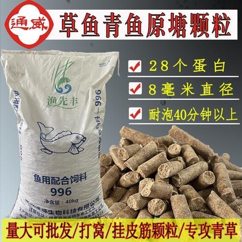西青龍魚的養(yǎng)殖技術(shù)有哪些?,西青龍魚養(yǎng)殖技術(shù) 龍魚百科 第8張 西青龍魚的養(yǎng)殖技術(shù)有哪些?,西青龍魚養(yǎng)殖技術(shù) 西青龍魚的養(yǎng)殖技術(shù)有哪些?,西青龍魚養(yǎng)殖技術(shù) 龍魚百科 第8張
