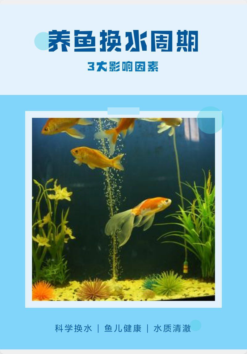冷水觀賞魚多久換一次水，冷水觀賞魚多久換一次水，冷水小魚觀賞魚養護指南 冷水觀賞魚多久換一次水，冷水觀賞魚多久換一次水，冷水小魚觀賞魚養護指南 龍魚百科 第2張