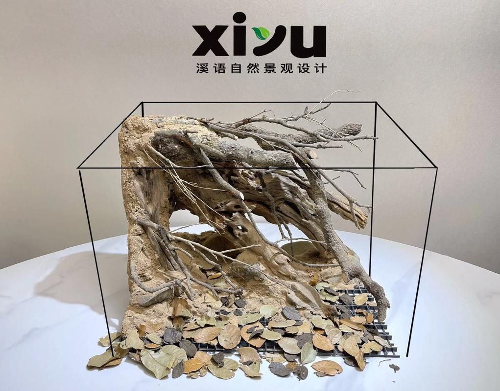 有哪些魚缸尺寸推薦，魚缸尺寸如何選擇