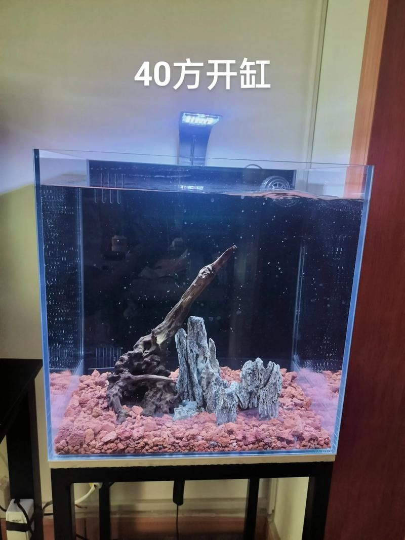 有哪些魚缸尺寸推薦，魚缸尺寸如何選擇
