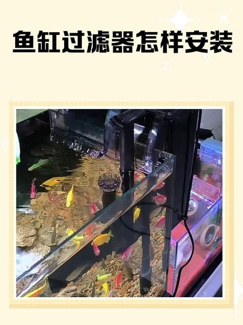 如何降低大銀龍魚的飼養(yǎng)成本,如何降低大銀龍魚的飼養(yǎng)成本,降低飼養(yǎng)成本的關(guān)鍵因素 龍魚百科 第3張 如何降低大銀龍魚的飼養(yǎng)成本,如何降低大銀龍魚的飼養(yǎng)成本,降低飼養(yǎng)成本的關(guān)鍵因素 如何降低大銀龍魚的飼養(yǎng)成本,如何降低大銀龍魚的飼養(yǎng)成本,降低飼養(yǎng)成本的關(guān)鍵因素 龍魚百科 第3張