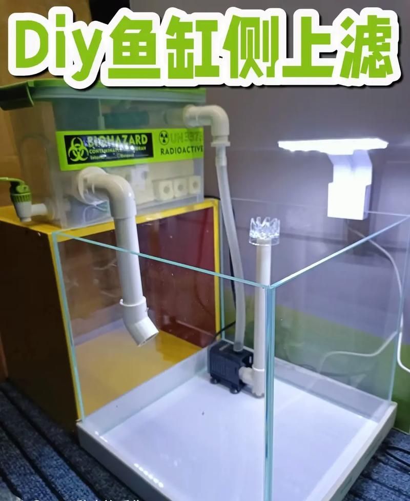 如何降低大銀龍魚的飼養(yǎng)成本,如何降低大銀龍魚的飼養(yǎng)成本,降低飼養(yǎng)成本的關(guān)鍵因素 龍魚百科 第5張 如何降低大銀龍魚的飼養(yǎng)成本,如何降低大銀龍魚的飼養(yǎng)成本,降低飼養(yǎng)成本的關(guān)鍵因素 如何降低大銀龍魚的飼養(yǎng)成本,如何降低大銀龍魚的飼養(yǎng)成本,降低飼養(yǎng)成本的關(guān)鍵因素 龍魚百科 第5張