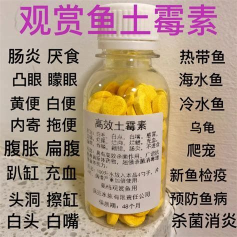 龍魚腸炎用什么藥效果好，龍魚腸炎用什么藥效果好, 龍魚腸炎用什么藥效果好，龍魚腸炎用什么藥效果好, 龍魚百科 第2張