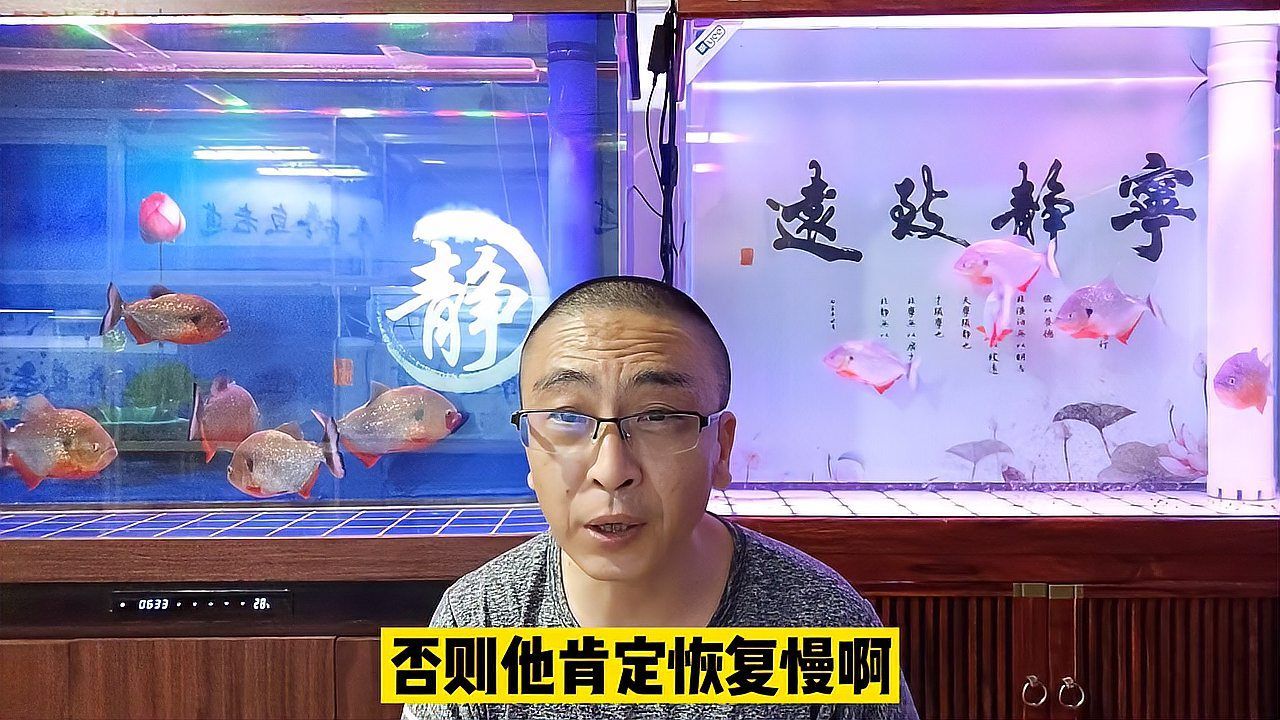 魚受傷了多久能自愈，魚受傷了多久能自愈，魚類受傷后的自愈能力 魚受傷了多久能自愈，魚受傷了多久能自愈，魚類受傷后的自愈能力 龍魚百科 第2張